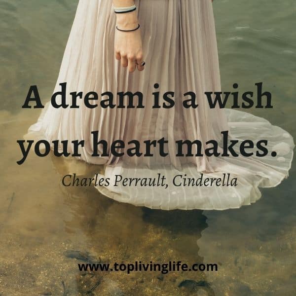 “A dream is a wish your heart makes.” -Charles Perrault, Cinderella