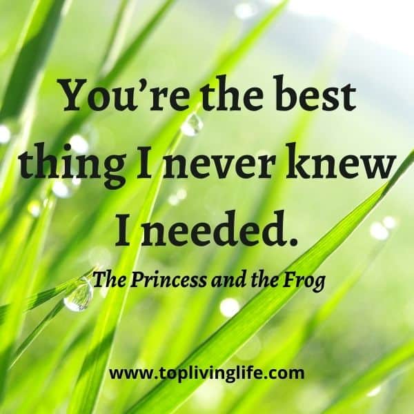“You’re the best thing I never knew I needed.” - The Princess and the Frog, fairy quotes