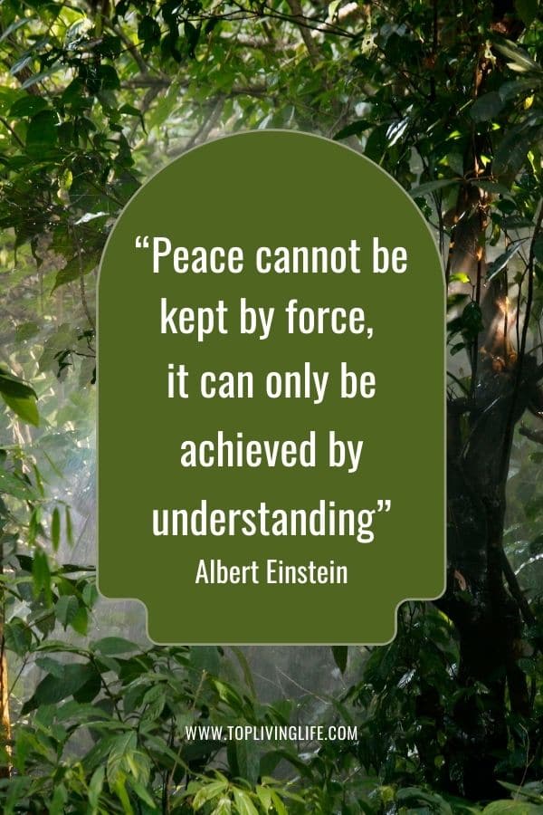 Quotes About Peace