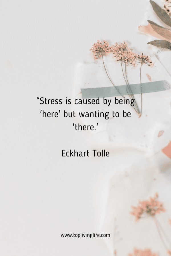 stress quotes